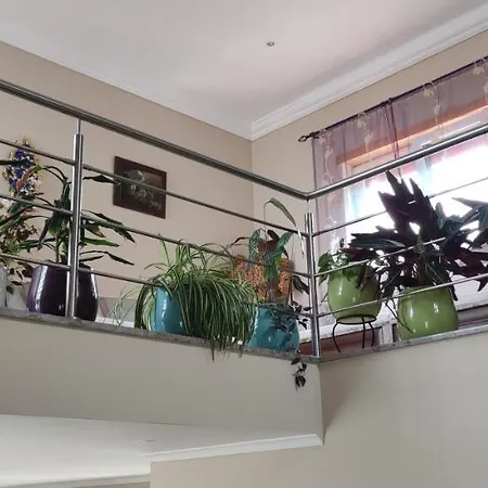 Beco Do Patalugo Проживание в семье